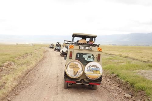 Types of Safari Vehicles: What to Expect on Your Trip